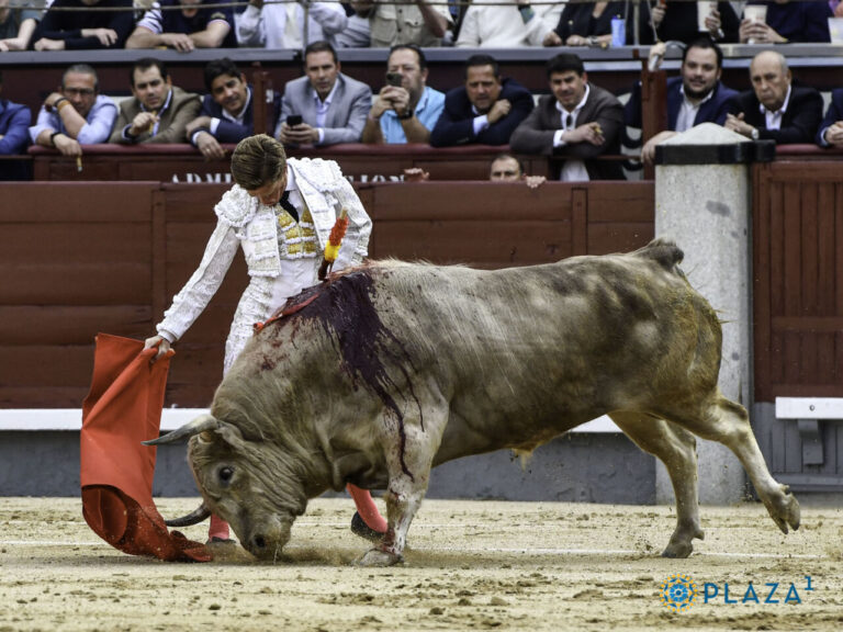 « Je n&rsquo;ai jamais perdu la foi dans la relance de la tauromachie »