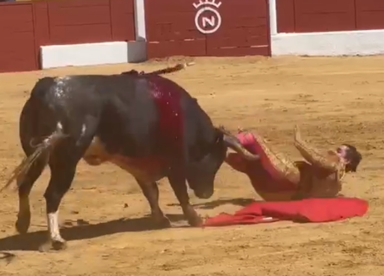 Joao D&rsquo;Alva, encorné de 20 centimètres à San Agustín de Guadalix (rapport médical et vidéo)