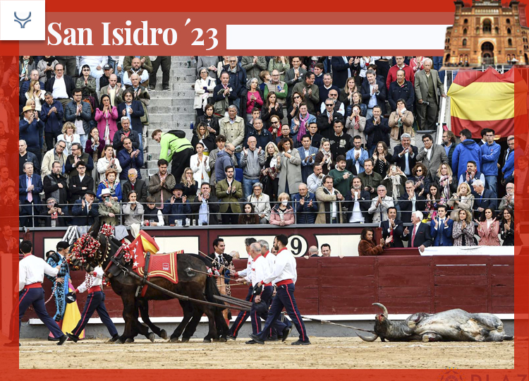 José Escolar : un taureau de retour dans une corrida