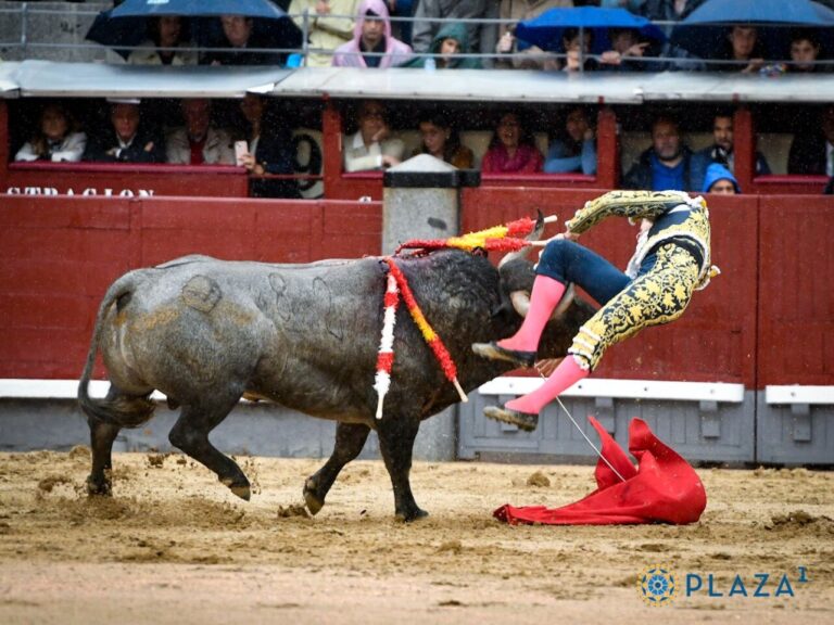 José Garrido : « Encornage de 15 centimètres à la cuisse droite avec un pronostic grave, qui contusionne le nerf sciatique » (Rapport médical)