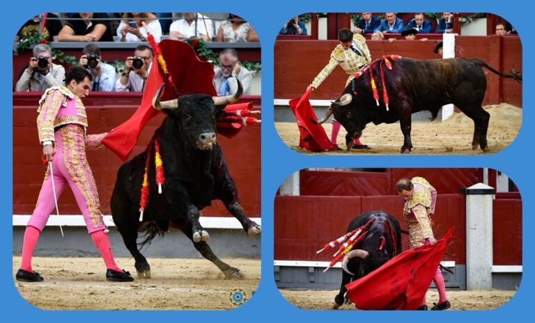 Madrid, six silences dans une grande corrida de Gabriel Rojas