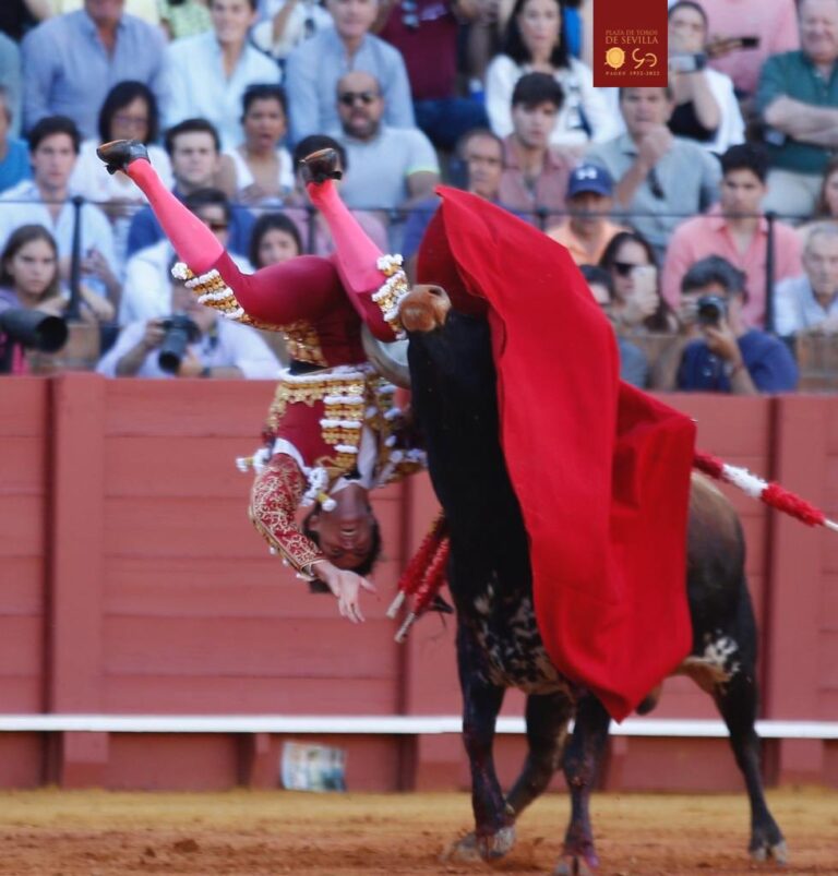 Marcos Linares grièvement blessé dans la Maestranza