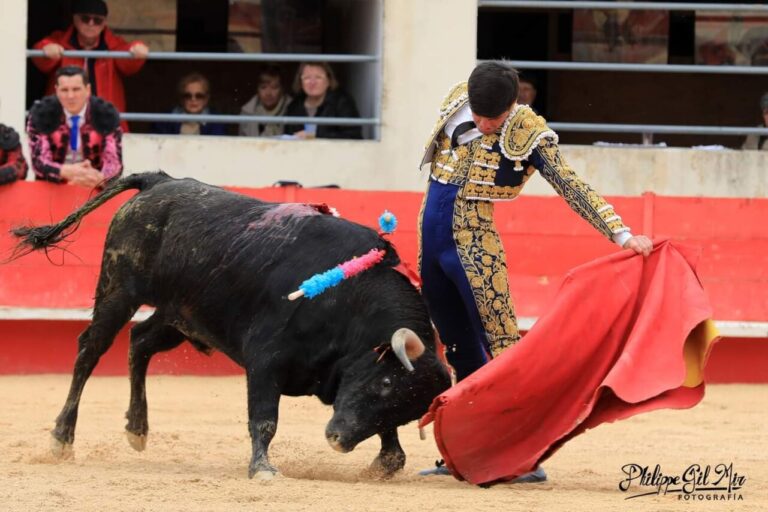 Miguel Losana, gagnant du concours I Temperas de Alés
