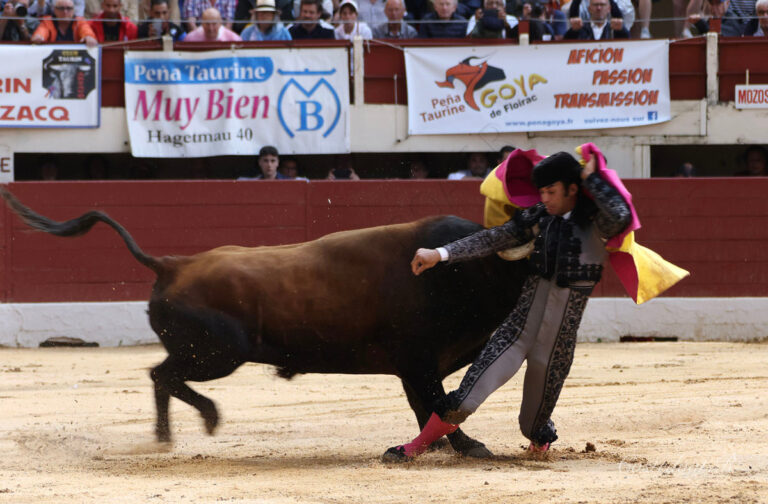 Morenito de Aranda, transféré par hélicoptère au CHU de Toulouse