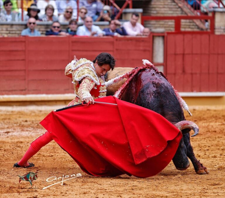 Roca Rey retentissant.  Deux oreilles du troisième (Directo Córdoba)