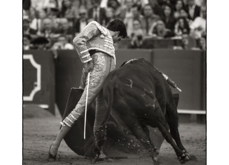 Tomás Rufo, aux portes du certificat de figure taurine