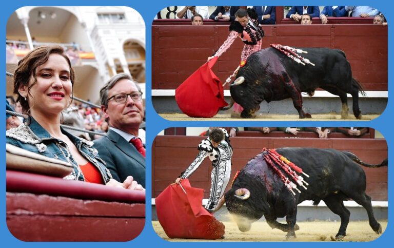 Uceda Leal et Robleño, au-dessus de la mansada goyesque de Las Ventas