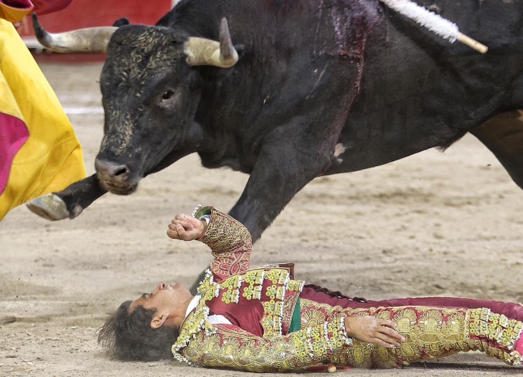 Une blessure neurale et osseuse à Joselito Adame est exclue après la baise effrayante à Aguascalientes