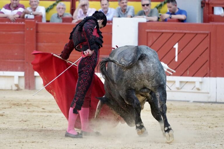 Aguado et Victorino: tauromachie naturelle coûteuse et dimension de pouvoir