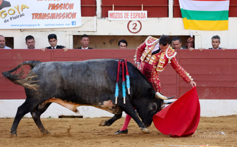Daniel Luque, vainqueur de la foire de Vic