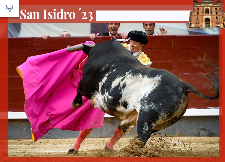 Diego Urdiales : « Le taureau n&rsquo;a pas bien vu, j&rsquo;ai passé un mauvais moment »