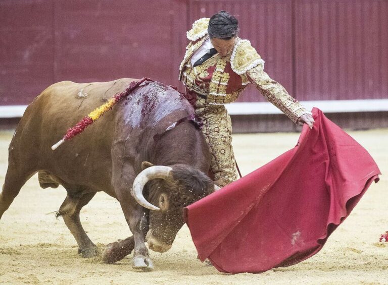 Diego Urdiales à Burgos, ici pour rester