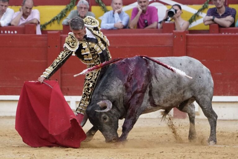 Manuel Escribano : un retour de Puerta Grande à Alicante