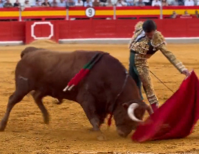 Juan Ortega, de catégorie à Grenade
