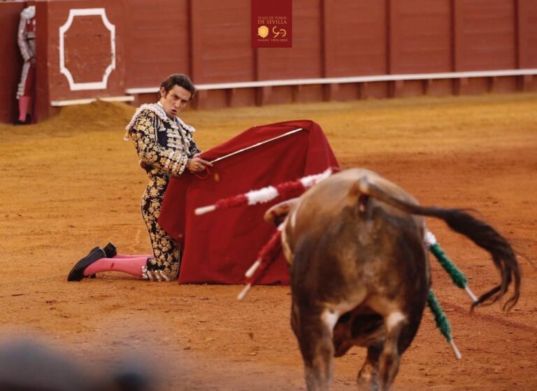La corrida de Séville, en détail (Direct)