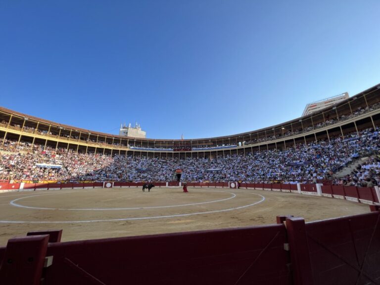 Escribano avec six vainqueurs, le double de Manzanares, des figures et des jeunes, dans une grande foire de Hogueras de Alicante