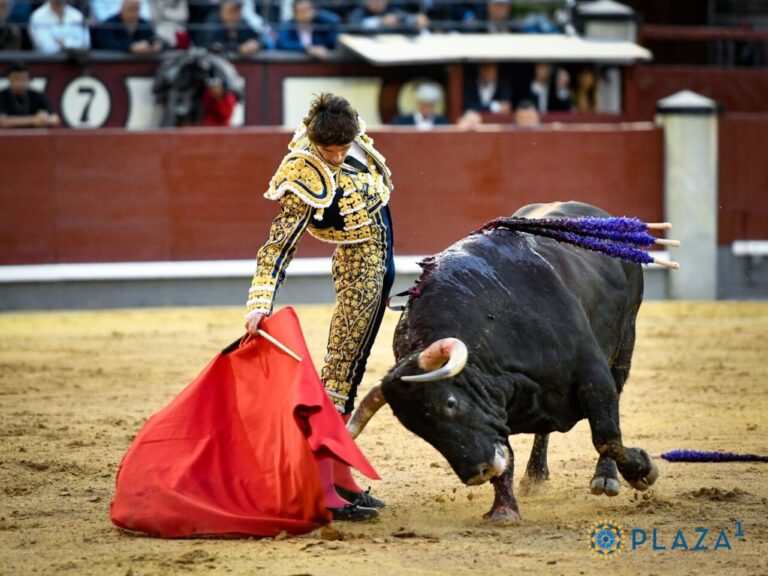 Le &lsquo;Gagnant de la Foire&rsquo; de San Isidro 2023 a déjà un nom et un prénom