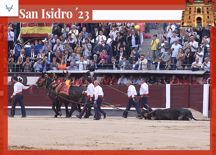 L&rsquo;éleveur virtuel : Santiago Domecq, la corrida à la Foire