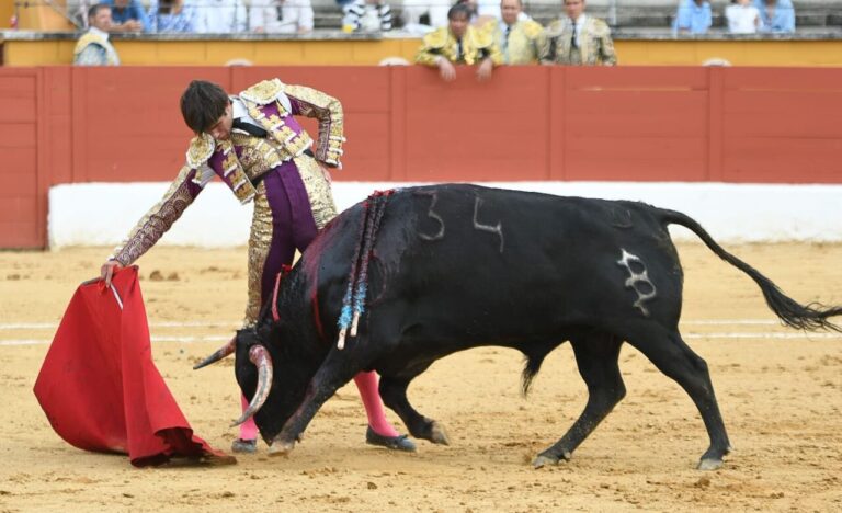 Marcos del Rincón, de l&rsquo;école Yiyo, finaliste du Madrid Heifer Circuit