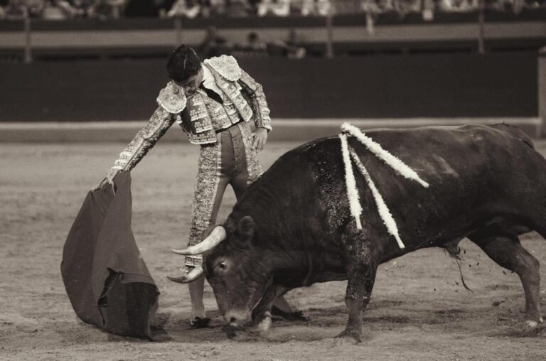 Pablo Aguado, torero |  mundotoro.com