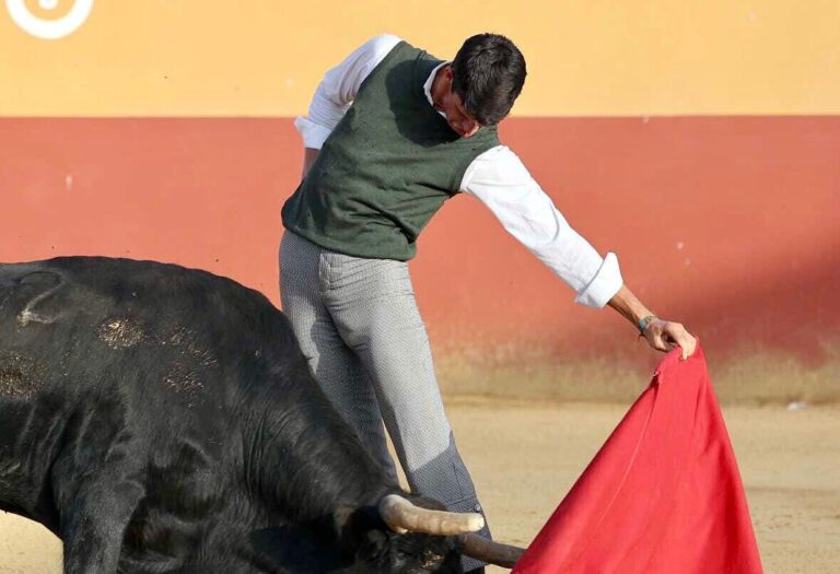 Diego García, une douzaine de corridas avant l&rsquo;alternative