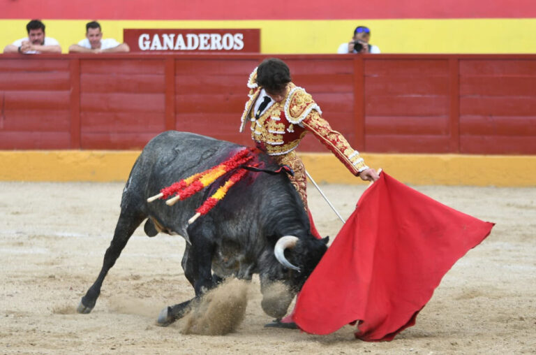 Alejandro Chicharro remporte la finale du circuit de Madrid (Advance More Celebrations)