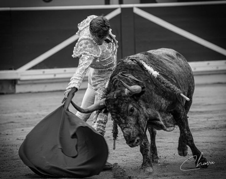 Borja Jiménez, avant sa nomination à Las Ventas: « Cela m&rsquo;a ému d&rsquo;entendre Pampelune crier » Torero, torero «  »
