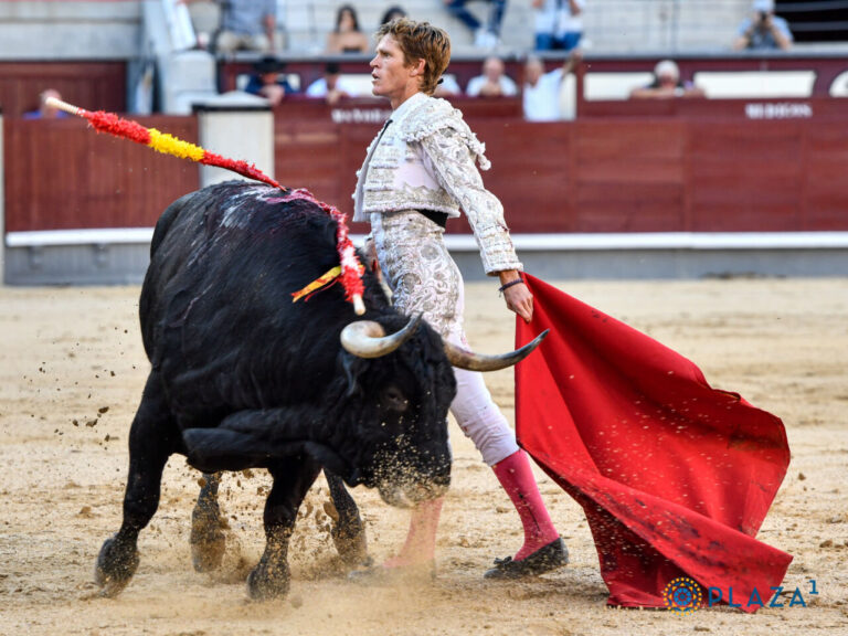Borja Jiménez veut être torero aux Foires