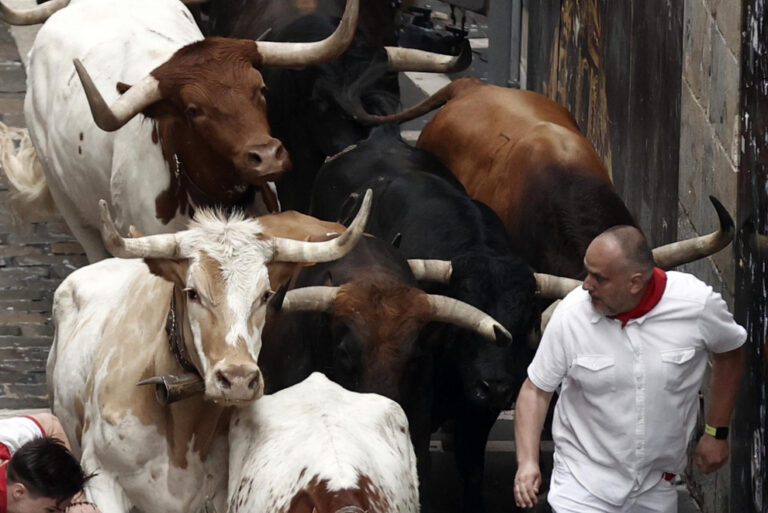 Course rapide et propre des taureaux à La Palmosilla