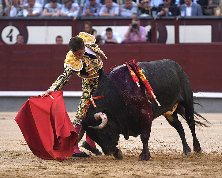 El Juli, avec six seuls dans le retour des taureaux à Gijón