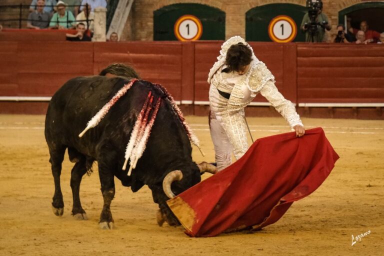 Intraitable Roca Rey, malgré un carton stupide à Valence (Photogallery)