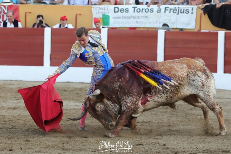 Javier Cortés et &lsquo;Panceto&rsquo;, un rendez-vous important à Céret