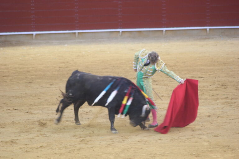 La Foire de Santa Ana de Roquetas s&rsquo;ouvre avec un cours pratique presque complet