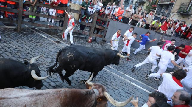 Nobles &lsquo;Miuras&rsquo; dans la dernière course des taureaux de San Fermín