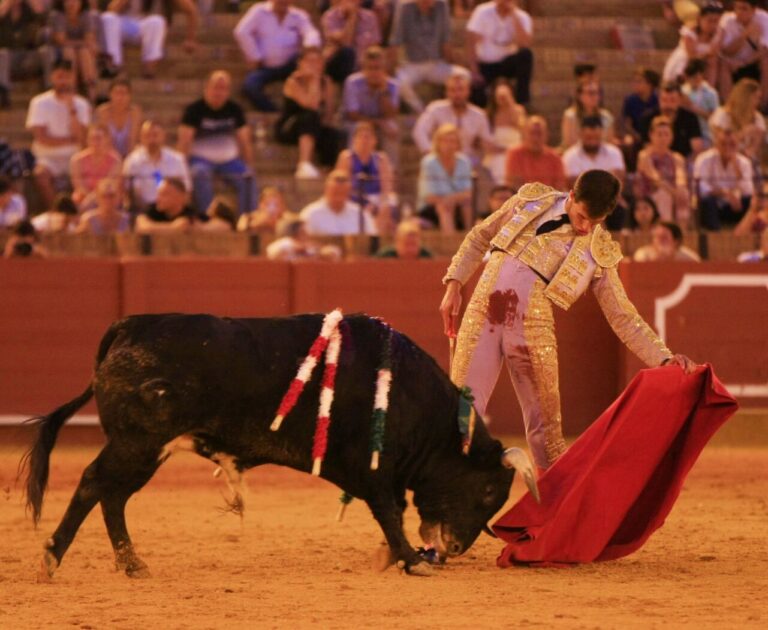 Oreille pour Samuel Navalón et Mariscal Ruiz lors de la première soirée de promotion