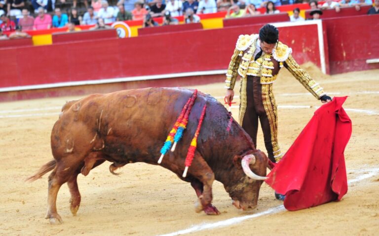 Superbe tauromachie de Talavante