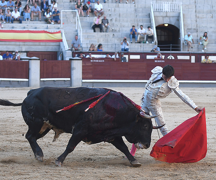 torero de l&rsquo;après-midi, baise dramatique et coups sévères sur la cuisse