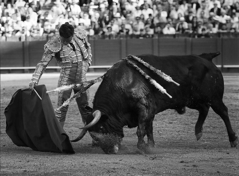 Diego Urdiales: « Combattre naturellement et pouvoir commander sans réfléchir est le but qui me rend heureux dans la tauromachie »