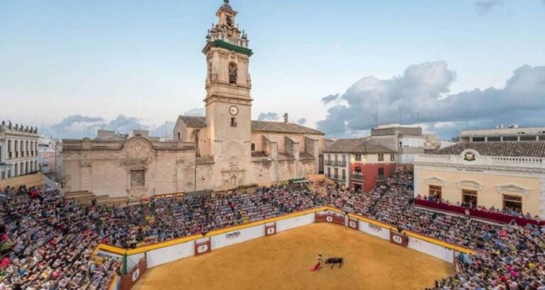 Algemesí ouvre sa vente en ligne ce jeudi