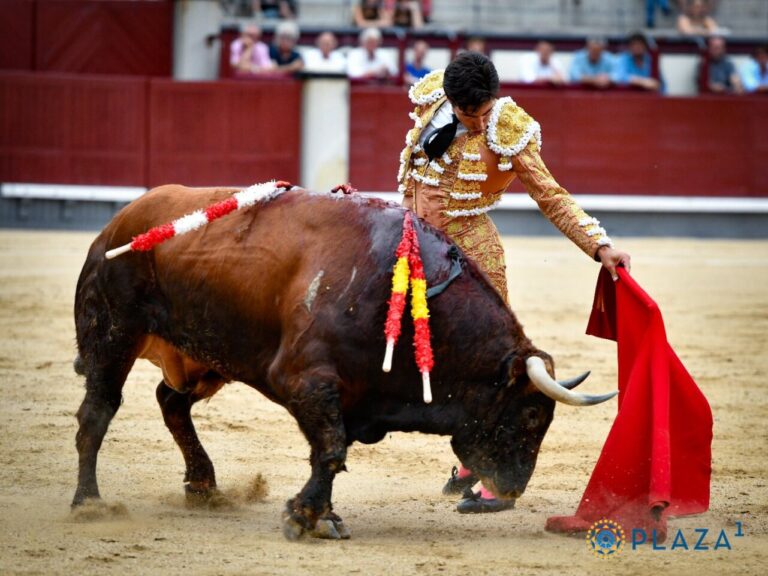 Álvaro Lorenzo : une tâche oisive à Madrid