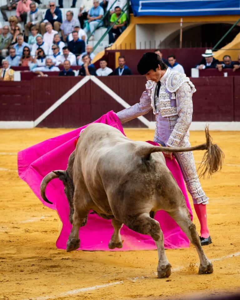 C&rsquo;est ainsi que nous vous avons parlé de la corrida de Tarazona (En ligne)