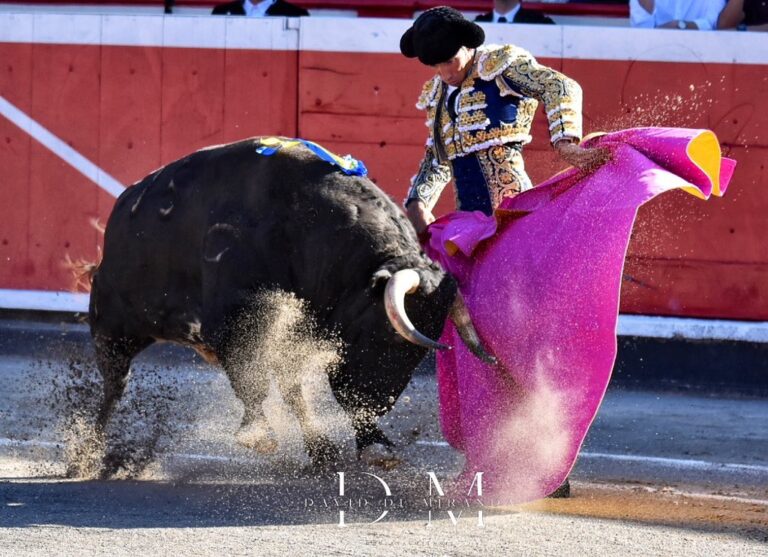 David de Miranda : un torero pour continuer à parier