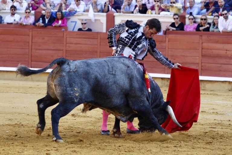 El Juli et Cuenca : une nouvelle étape triomphale pour les adieux