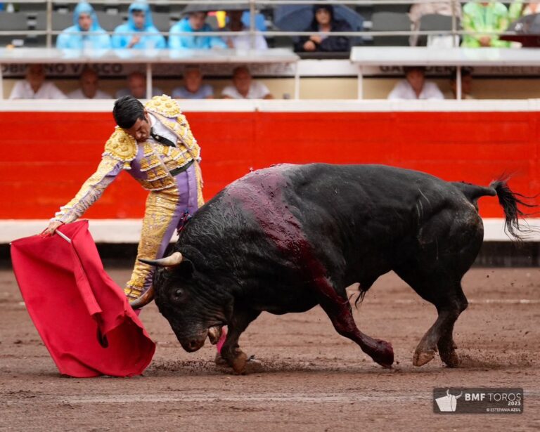 Emilio de Justo, Ginés Marín et la chance des taureaux