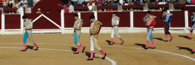 Forte augmentation des abonnements à Úbeda
