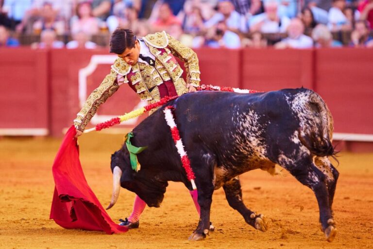 Fuentes Bocanegra : débuts à La Malagueta