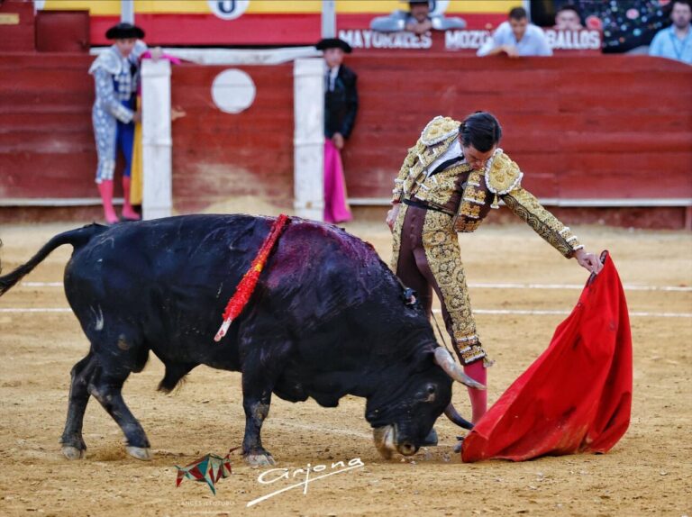 Jorge Martínez, renversé sur le taureau de son alternative (Photogallery)