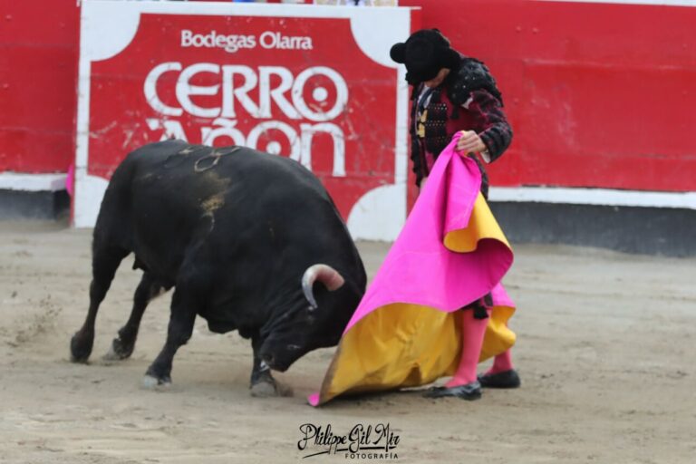 Juan Ortega et une belle réception à Verónica