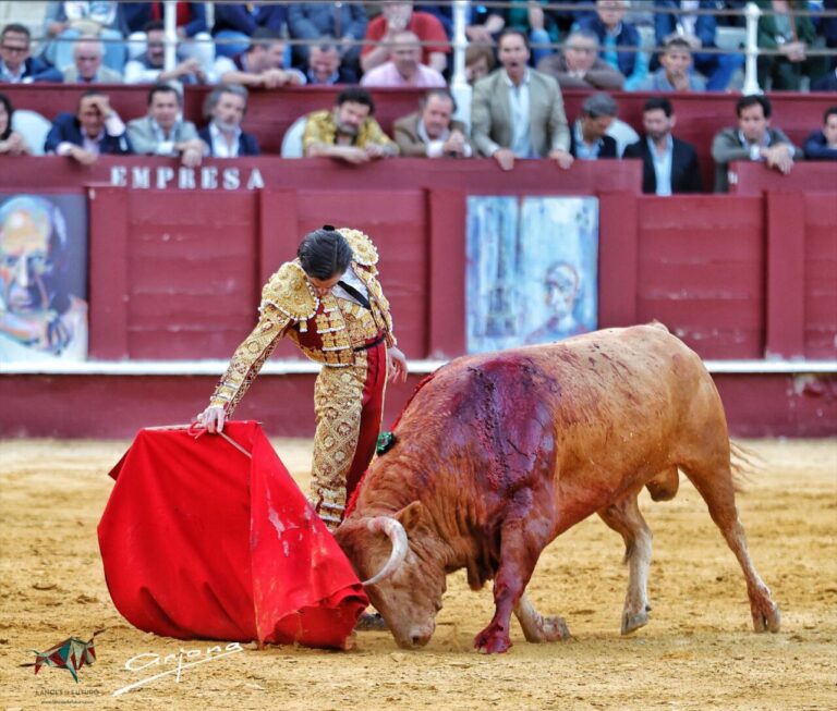Juan Ortega: retour à Malaga avec les échos de la Picassiana
