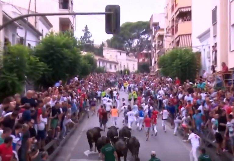 Le spot de la foire taurine du riz de Calasparra met en valeur les valeurs du «cycle le plus taurin d&rsquo;Espagne» (Vidéo